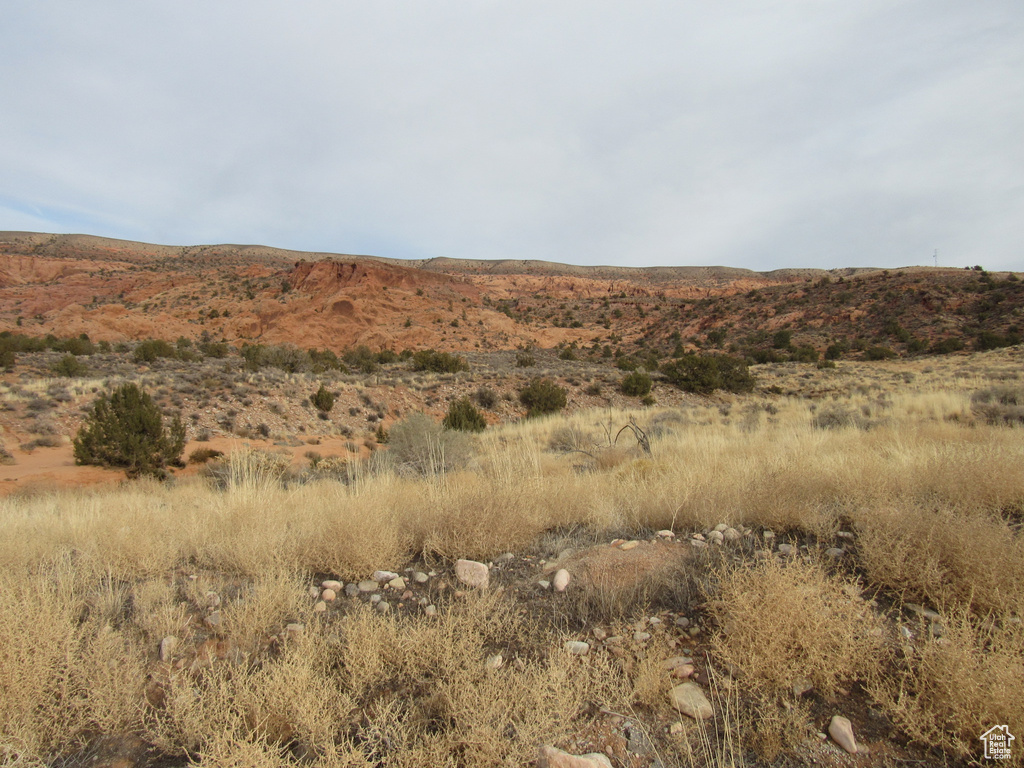 185 E MT. PEALE DR Moab, UT 84532