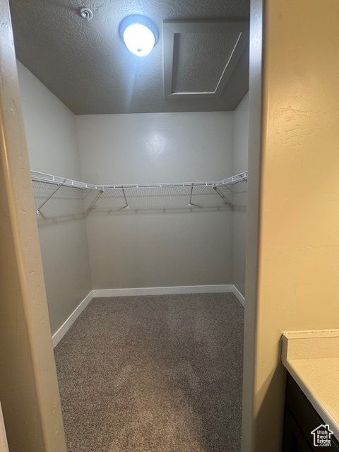 103 W SEASONS DR Vineyard, UT 84058