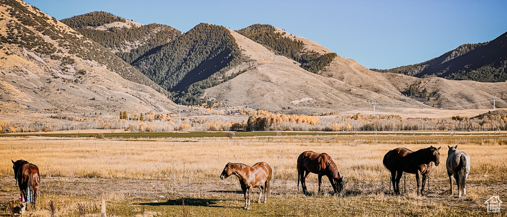 74  HUNTER RD Montpelier, ID 83254