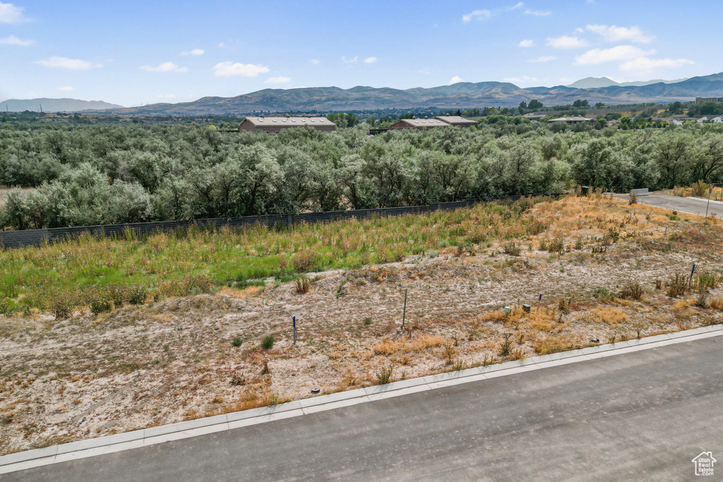 13702 S LOVERS LN Riverton, UT 84065