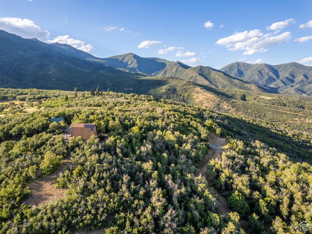 View of mountain background