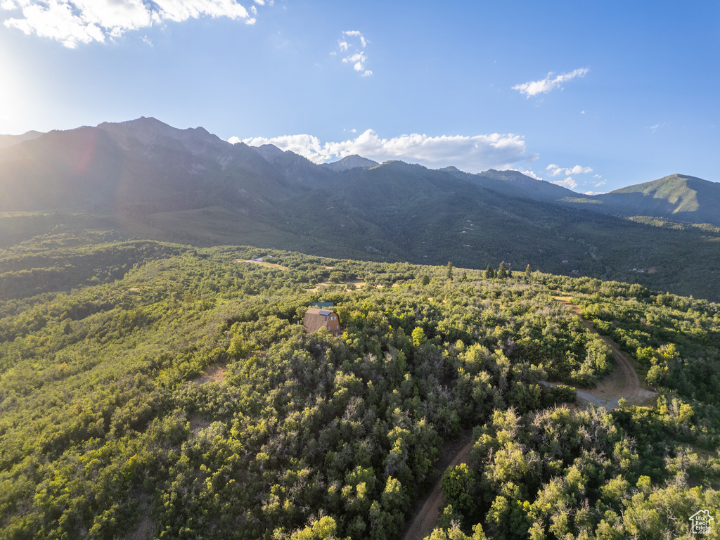 Mountain view featuring a heavily wooded area