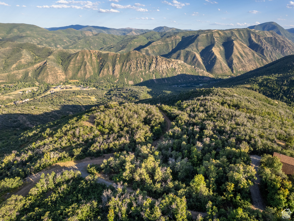 View of mountain background