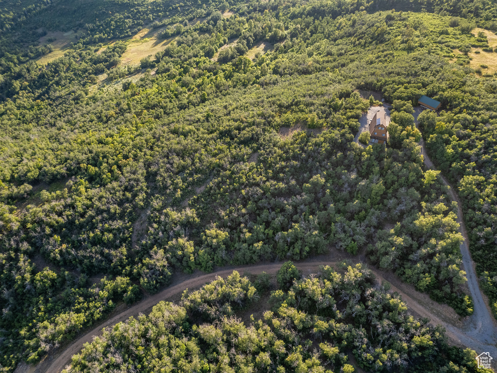 Aerial view of property\'s location with a forest