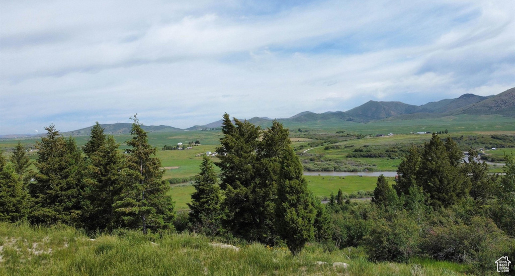 3111  CARIBOU RD Soda Springs, ID 83276