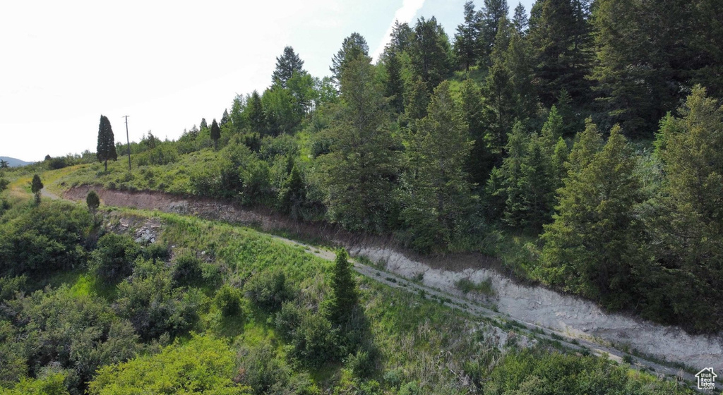 3111  CARIBOU RD Soda Springs, ID 83276