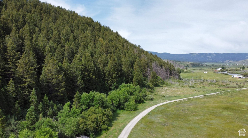 3111  CARIBOU RD Soda Springs, ID 83276