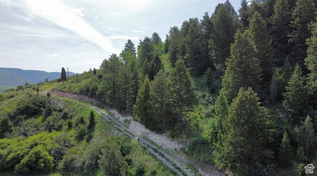 3111  CARIBOU RD Soda Springs, ID 83276