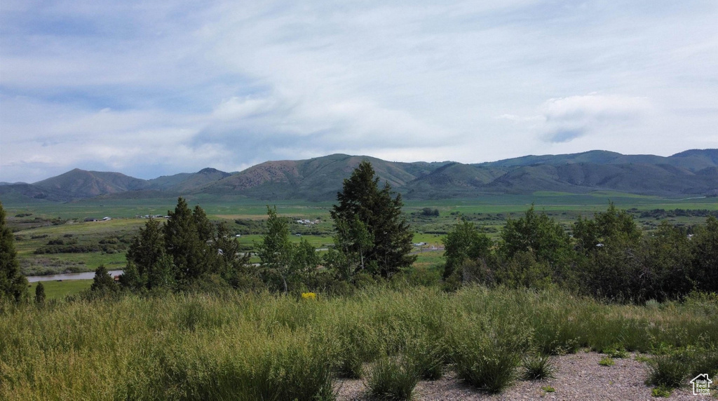 3111  CARIBOU RD Soda Springs, ID 83276