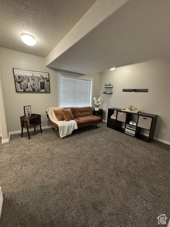 4768 W LIBERATION DR Herriman, UT 84096