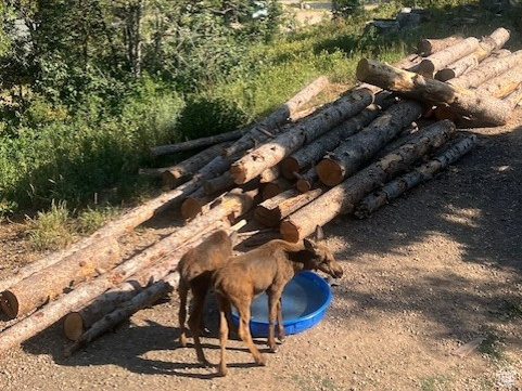 2229 DEER LOOP Coalville, UT 84017