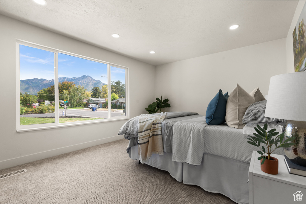 Photo 13 for MLS #2107638 at 1371 E Skyview Dr