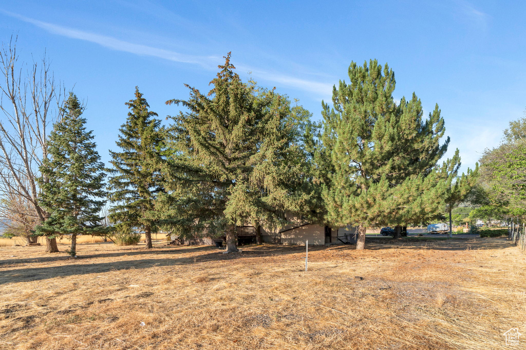 595 S 100 ST Fountain Green, UT 84632
