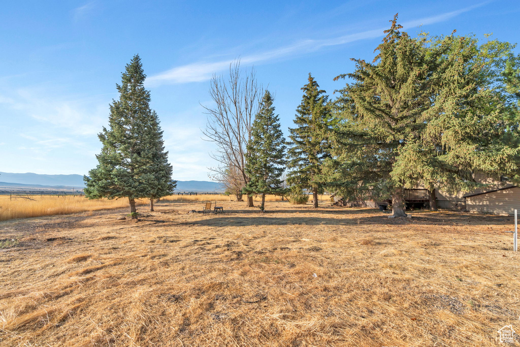 595 S 100 ST Fountain Green, UT 84632