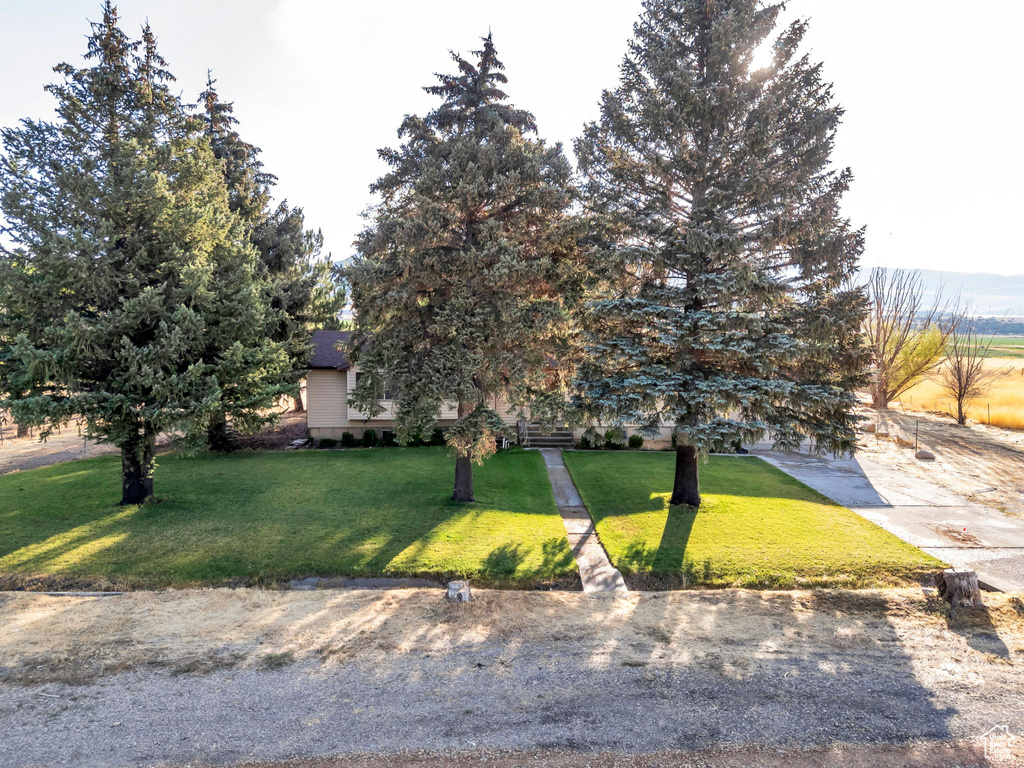 595 S 100 ST Fountain Green, UT 84632