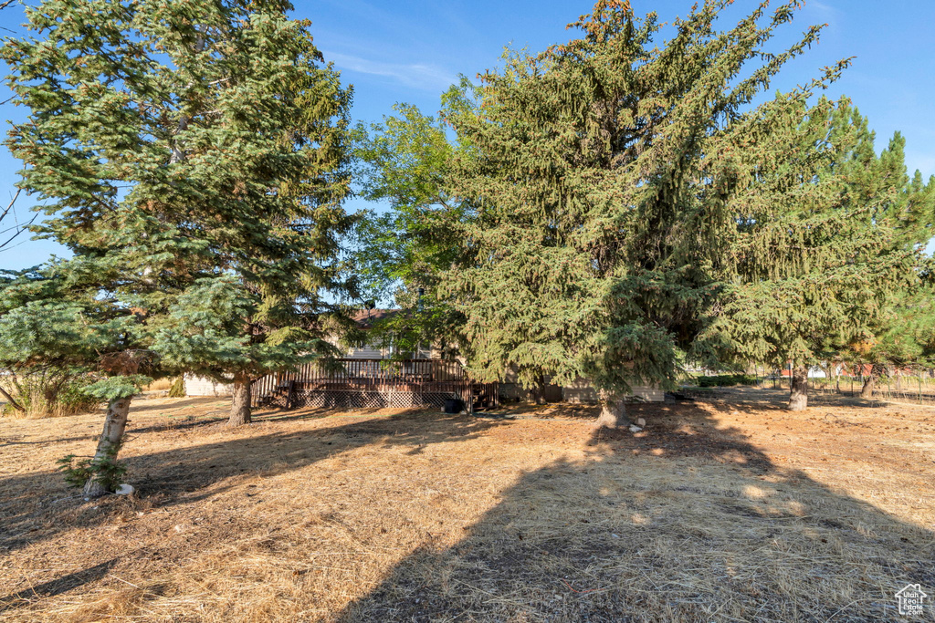 595 S 100 ST Fountain Green, UT 84632