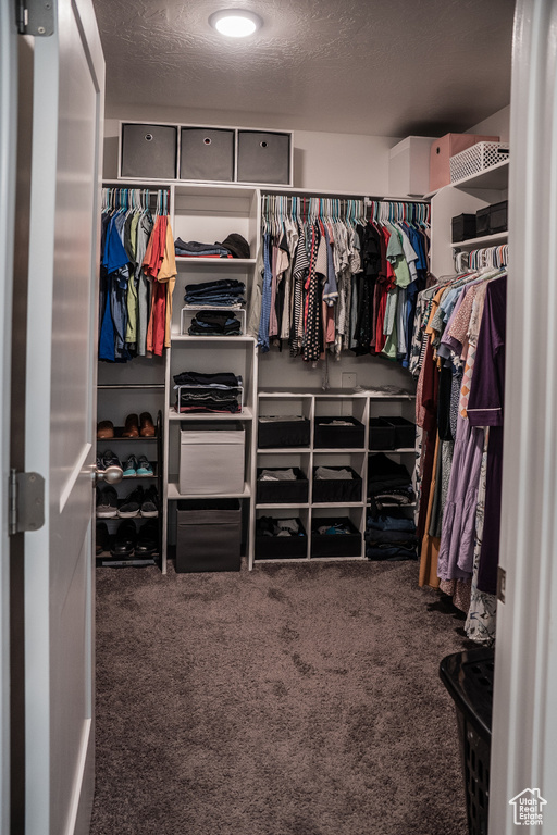 7099 N GARDEN DR Eagle Mountain, UT 84005