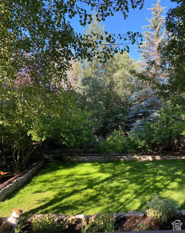 Photo 14 for MLS #2107672 at 2867 Lucky John Dr
