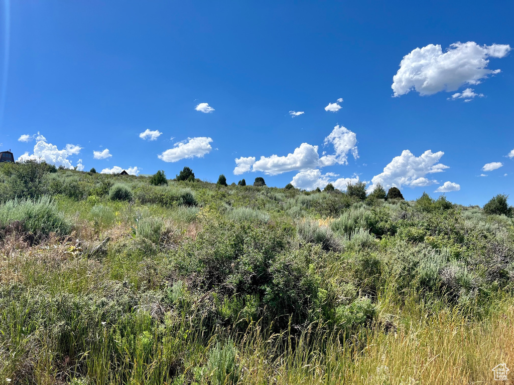 2173 S SERVICEBERRY CIR Garden City, UT 84028