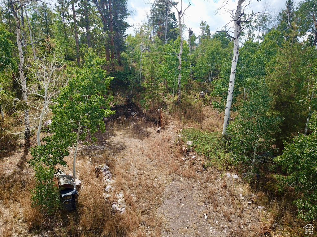 4518  ALPINE CIR Kamas, UT 84036