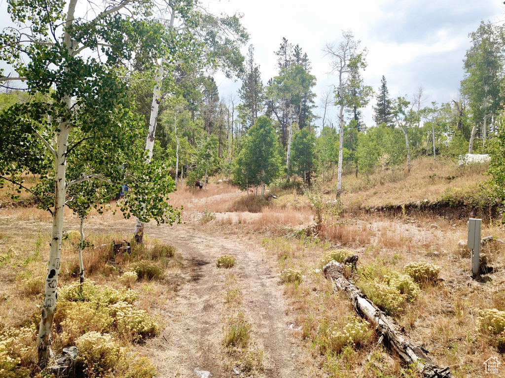 4518  ALPINE CIR Kamas, UT 84036