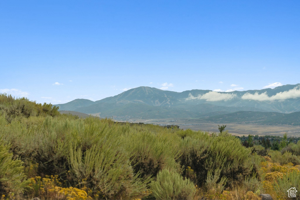 9158 N PROMONTORY DR Park City, UT 84098