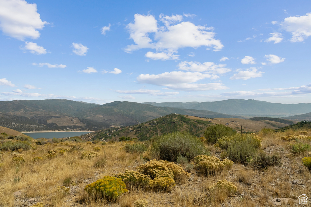9158 N PROMONTORY DR Park City, UT 84098