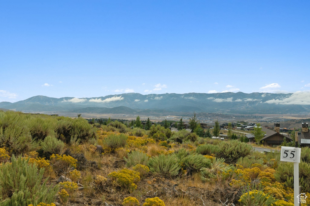 9158 N PROMONTORY DR Park City, UT 84098