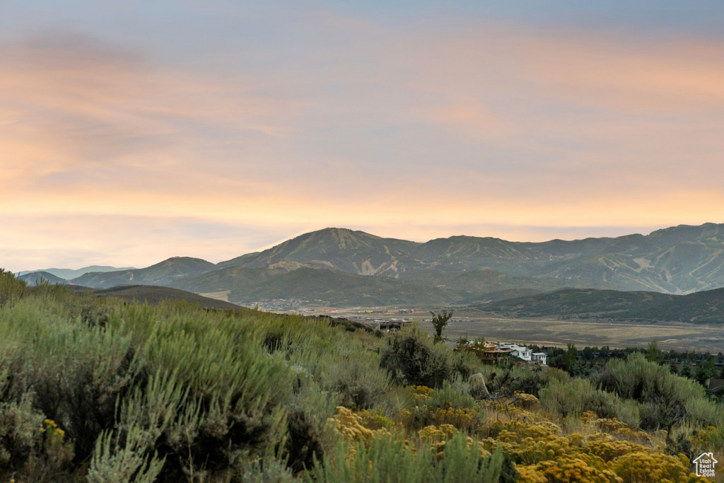 9158 N PROMONTORY DR Park City, UT 84098