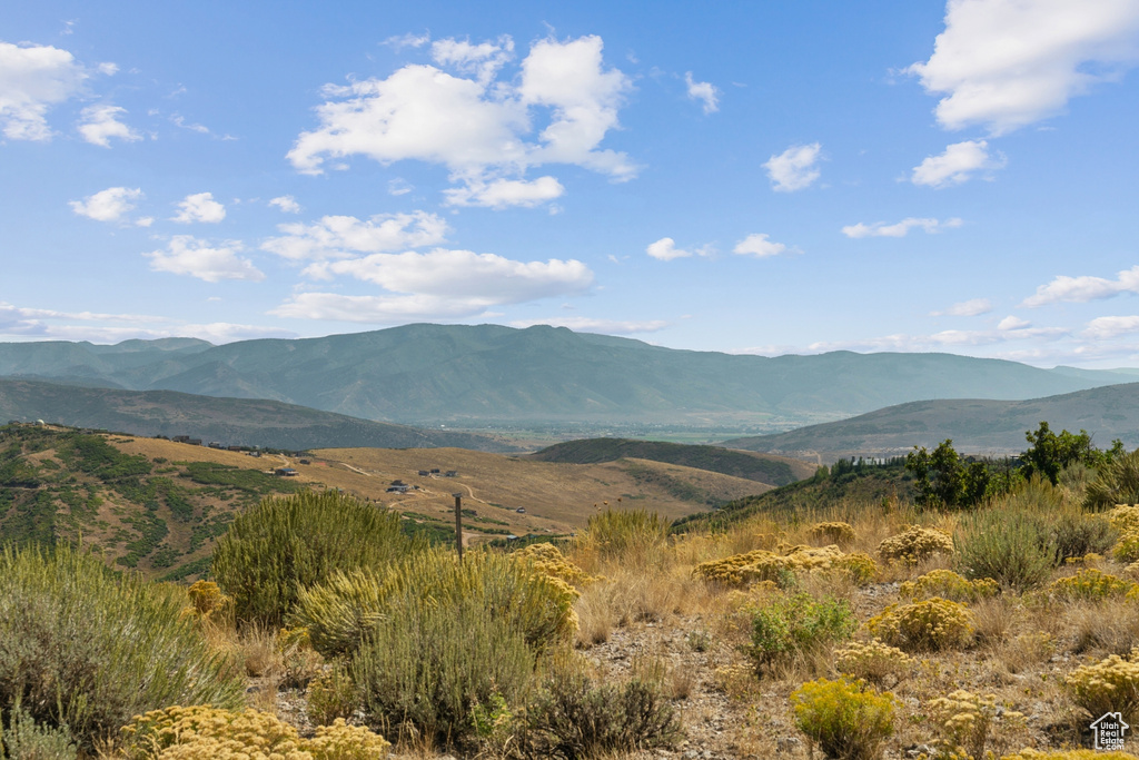 9158 N PROMONTORY DR Park City, UT 84098