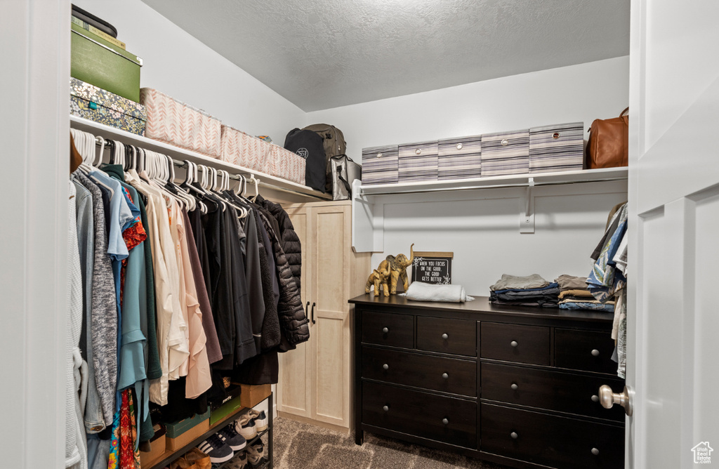 15124 S WILD HORSE WAY Bluffdale, UT 84065