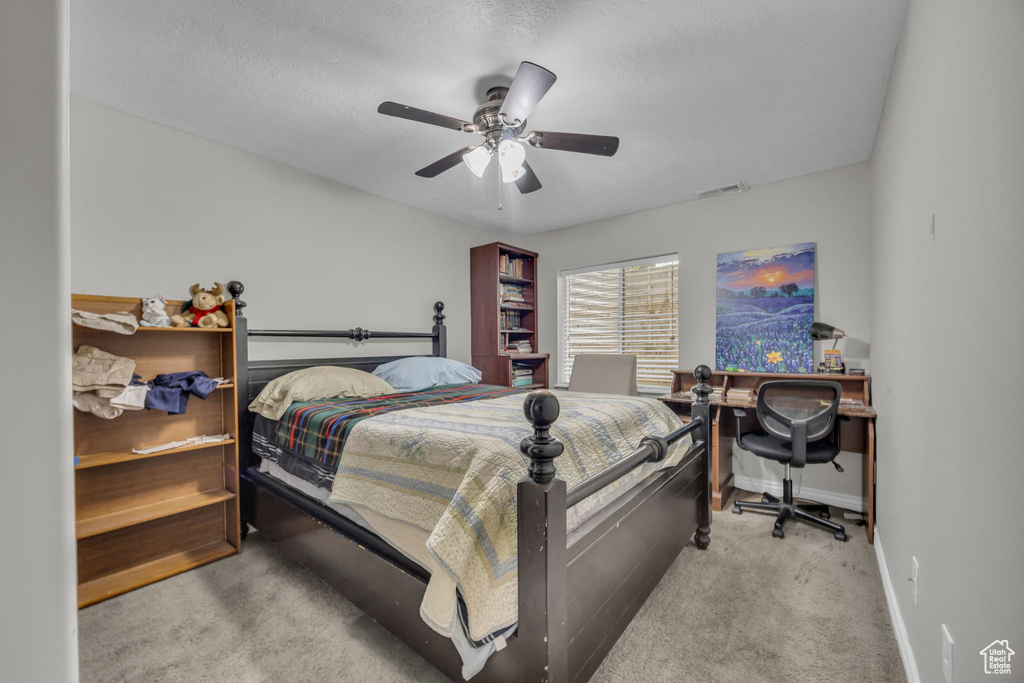 Photo 26 for MLS #2107828 at 2453 W Goldenpointe Way