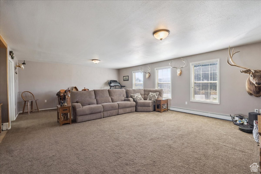 Photo 12 for MLS #2107839 at 66 Apsen Grove Dr