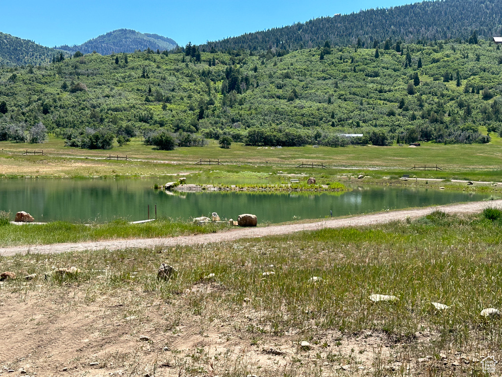 14050 S OAK RIDGE CIR Mt Pleasant, UT 84647