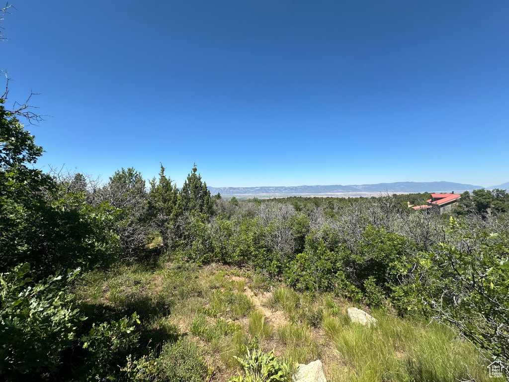 14050 S OAK RIDGE CIR Mt Pleasant, UT 84647