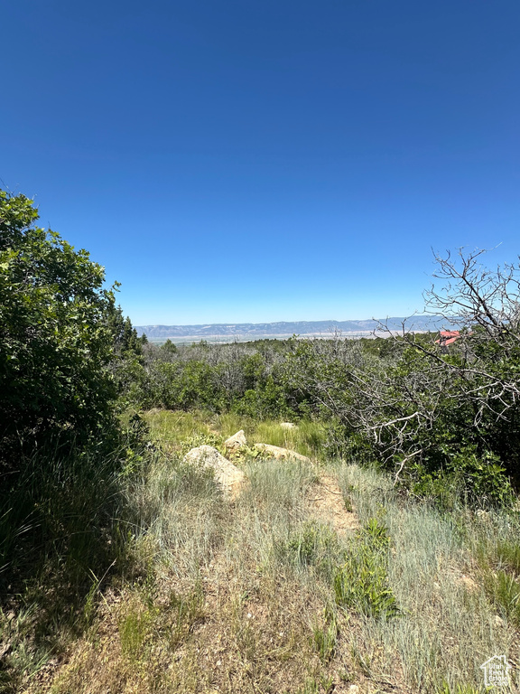 14050 S OAK RIDGE CIR Mt Pleasant, UT 84647