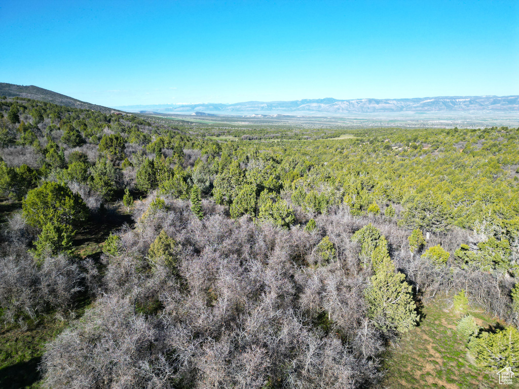 14050 S OAK RIDGE CIR Mt Pleasant, UT 84647