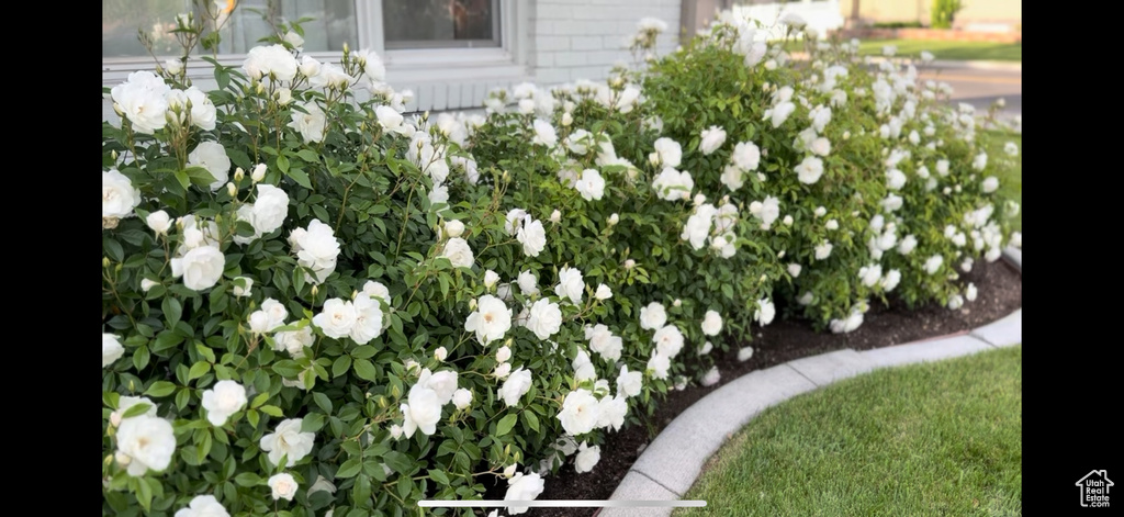 89 E 300 N Lehi, UT 84043