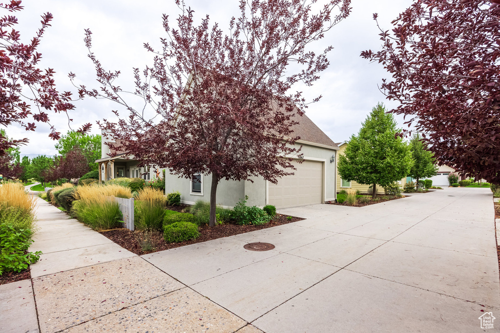11067 S CASCABEL DR South Jordan, UT 84009