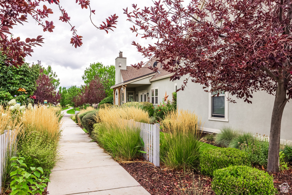 11067 S CASCABEL DR South Jordan, UT 84009