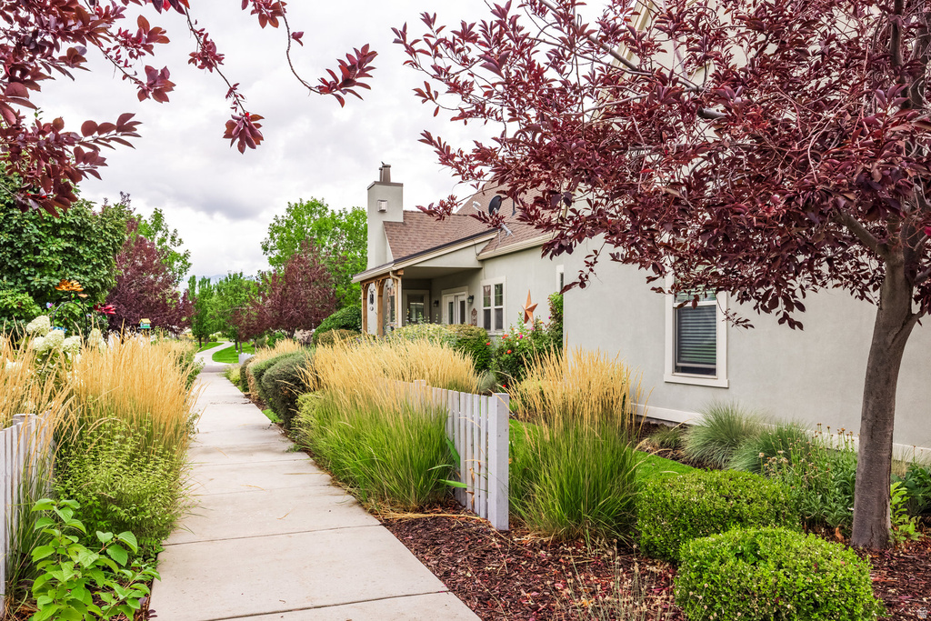 11067 S CASCABEL DR South Jordan, UT 84009