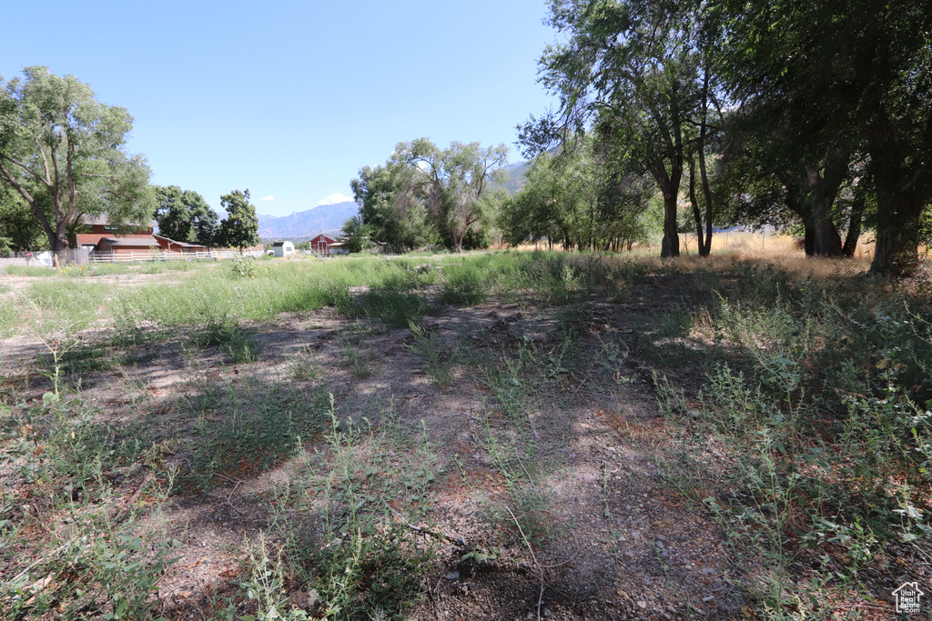 1314 E VICTOR LN Draper, UT 84020