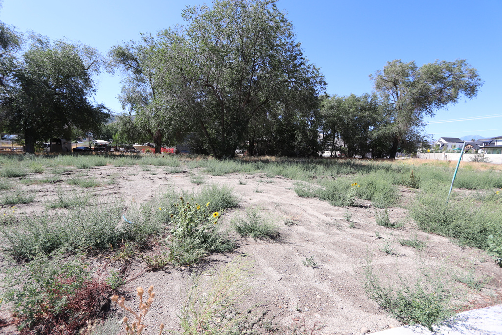 1314 E VICTOR LN Draper, UT 84020