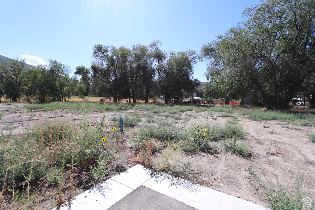 1314 E VICTOR LN Draper, UT 84020