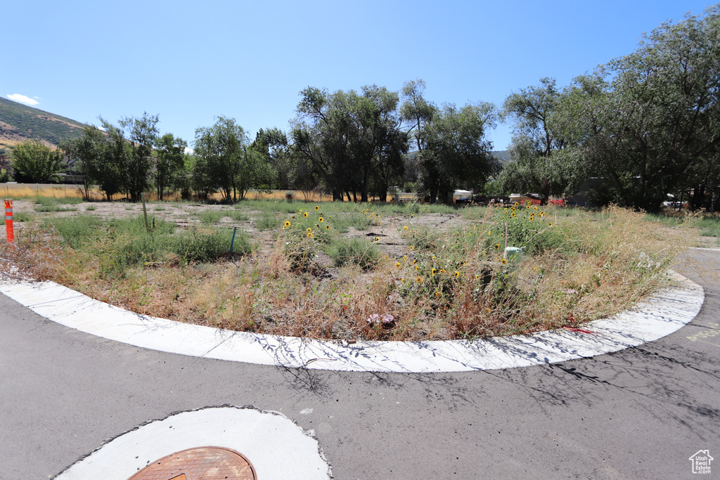 1314 E VICTOR LN Draper, UT 84020