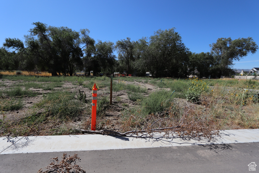 1314 E VICTOR LN Draper, UT 84020