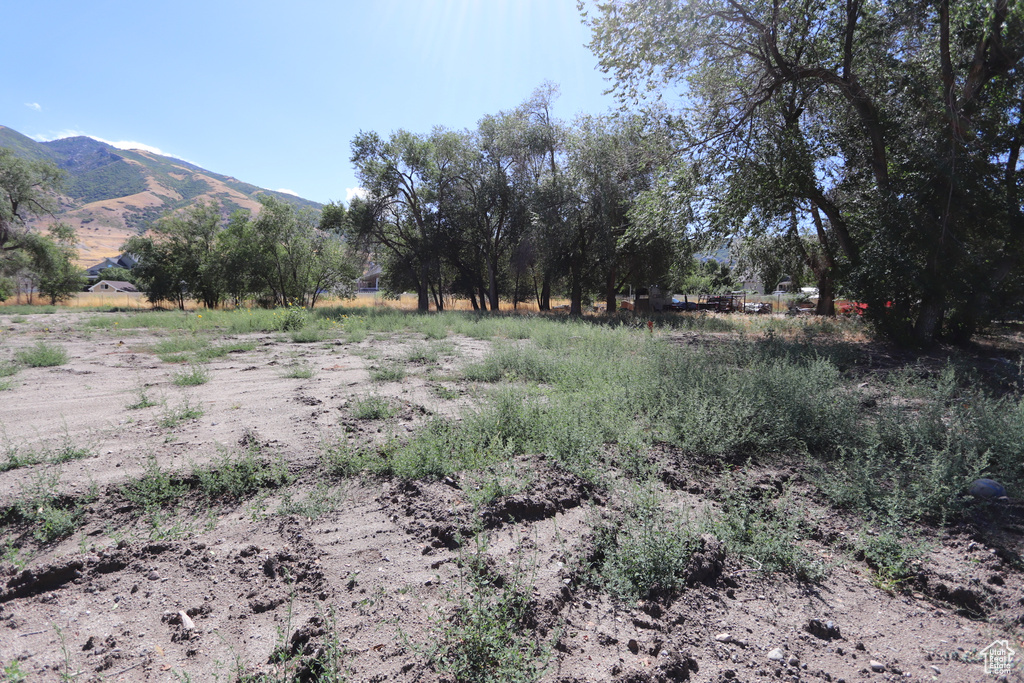 1314 E VICTOR LN Draper, UT 84020