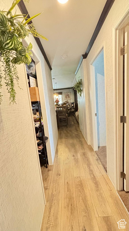 Photo 15 for MLS #2107971 at 197 Darlington