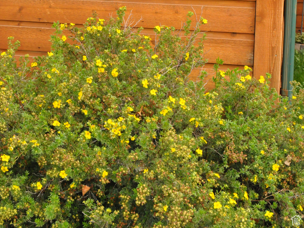Photo 69 for MLS #2108000 at 1084 W 2000 North