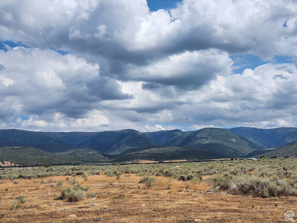 19010 N 11300 E Mt Pleasant, UT 84647